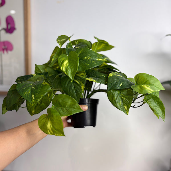 Artificial Pothos Hanging Pot Plant