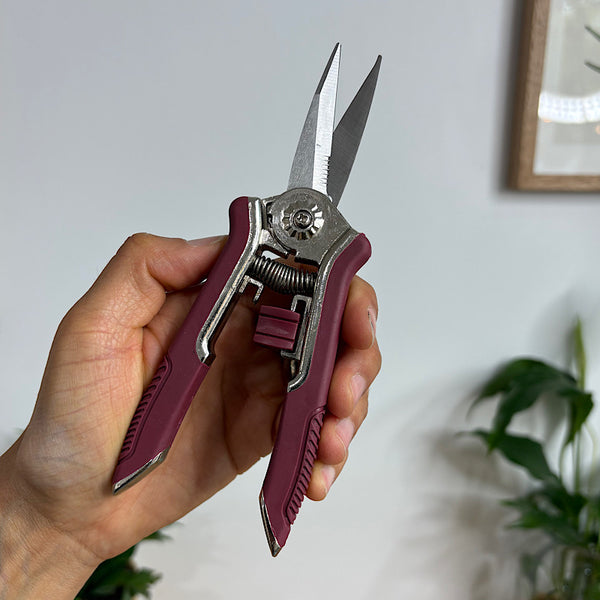 Pruning  Flower Snips