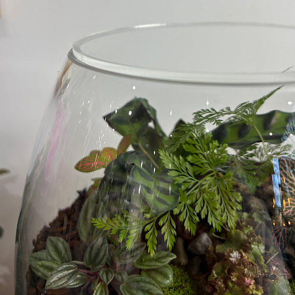 Lush Teardrop Medium Terrarium #0506