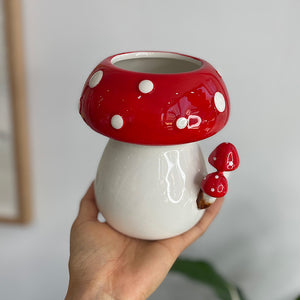Toadstools with Toadstools Planter Pot Red