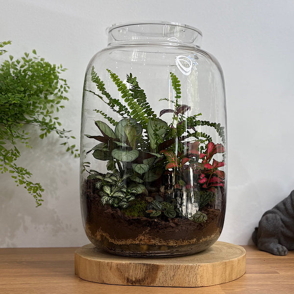 X-Large Globe Terrarium #1912