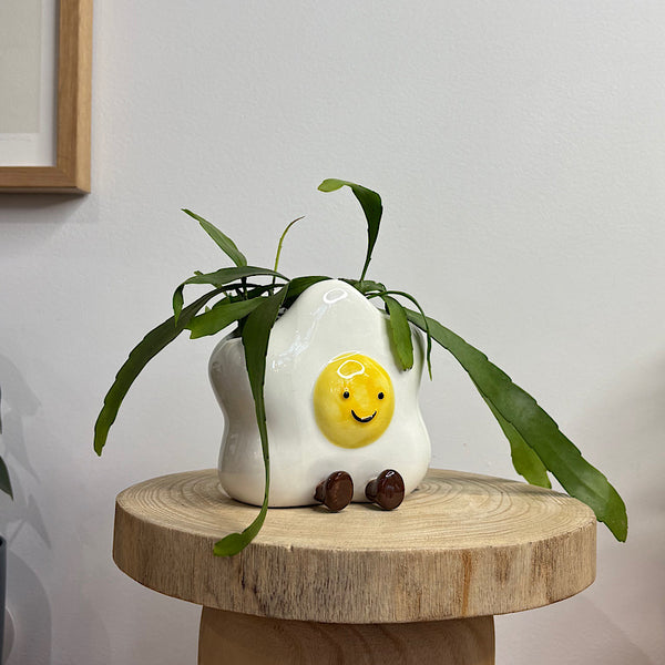 Rhipsalis in Ellie Egg Pot