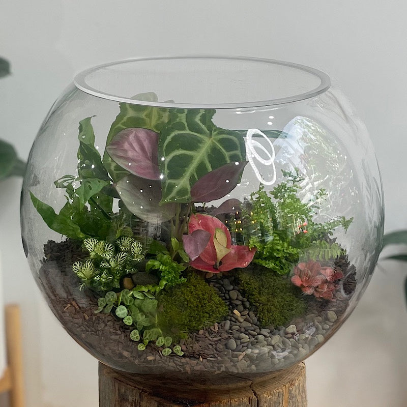 Lush Forest Terrarium Bowl #1312