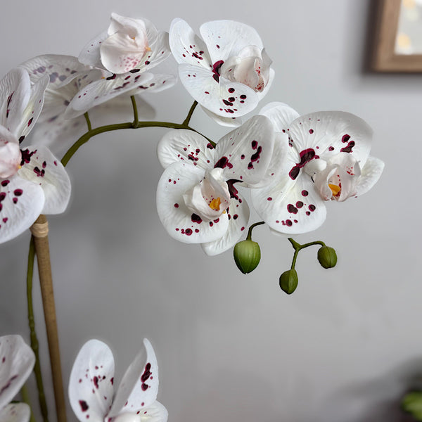 Artificial Phalaenopsis White Speckle Orchid in Pot