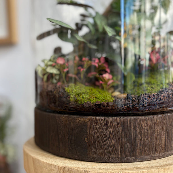 X-Large Helga Terrarium with Lush Forrest with Timber Base and Ball #0709