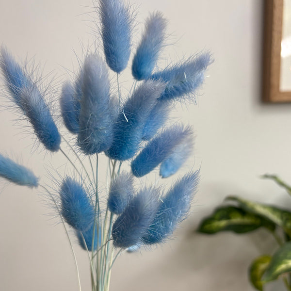 Preserved Bunny Tails