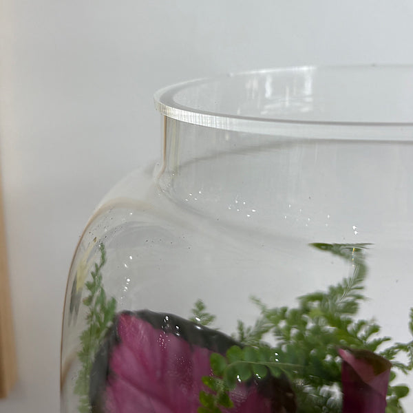 X-Large Globe Terrarium with Lush Forest #0802