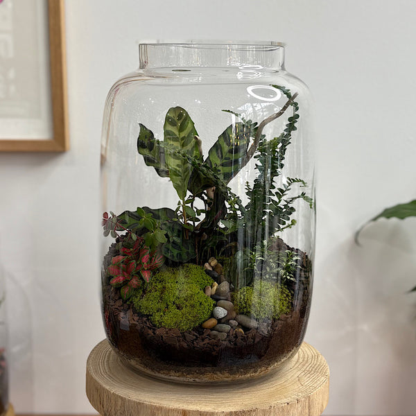 X-Large Globe Terrarium with Lush Forest #2508