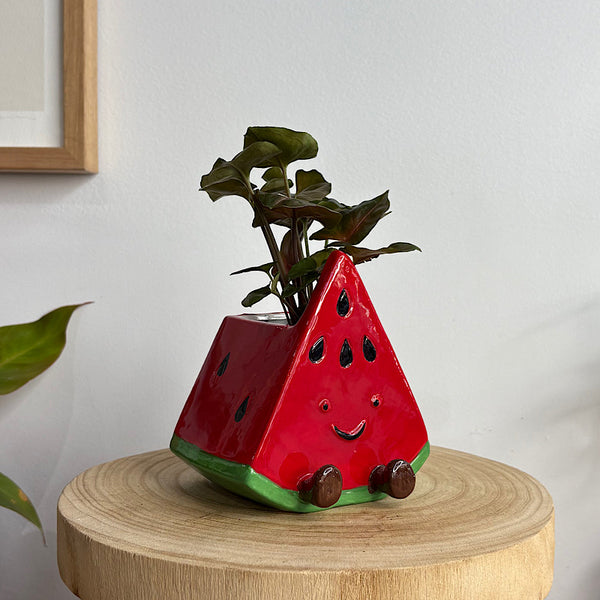 Syngonium in Winnie Watermelon Pot