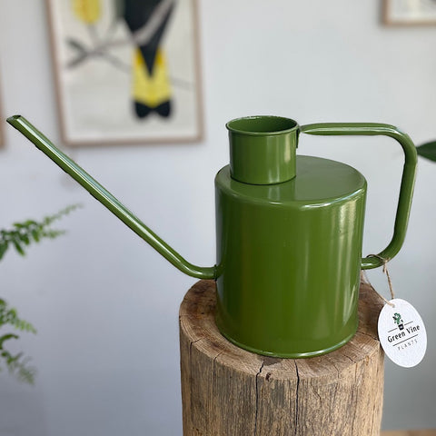 Merlino Watering Can Avocado 2L