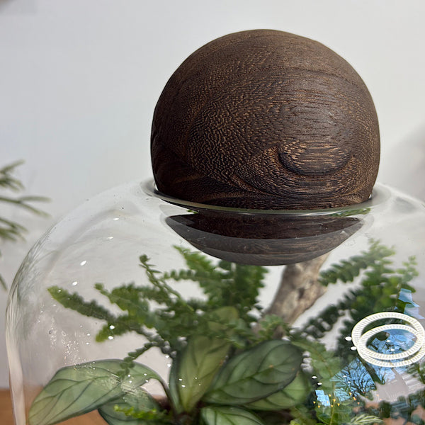 Large Helga Terrarium with Lush Forrest with Timber Base and Ball #0209