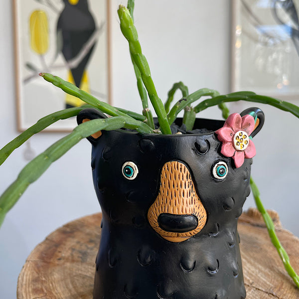 Rhipsalis in Baby Bear Planter Black