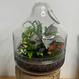 Large Teardrop Dome Terrarium #0423