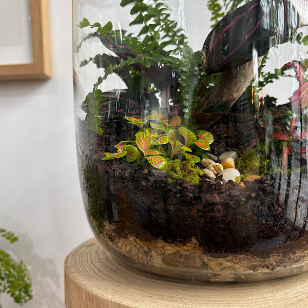 Large Globe Terrarium with Lush Forrest #1510