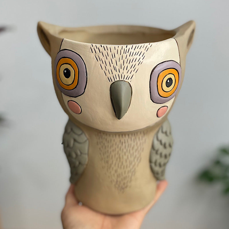 Hootie Owl Pot Planter