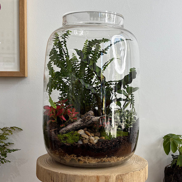 Large Globe Terrarium with Lush Forrest #2509