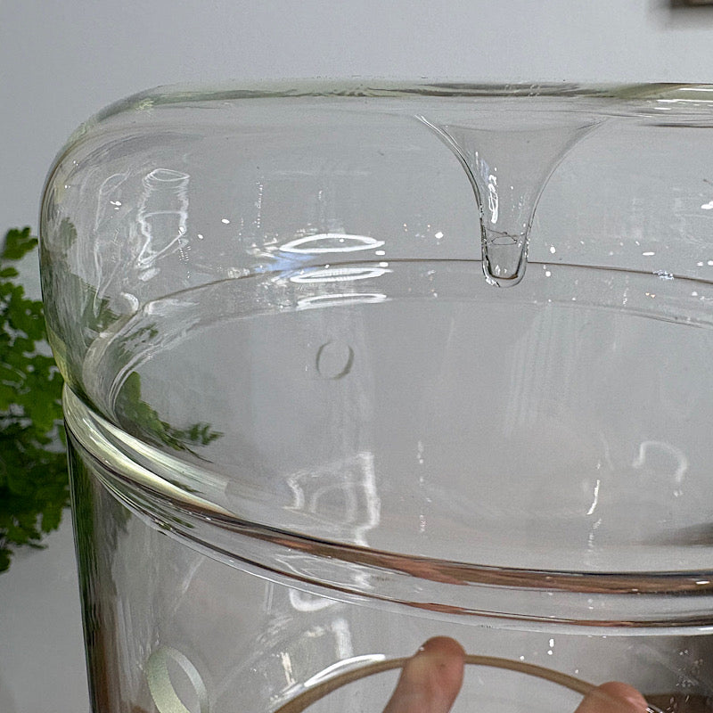 Astrid Dome Glass Atrium Terrarium with Droplet Lid 15cm – The Green ...