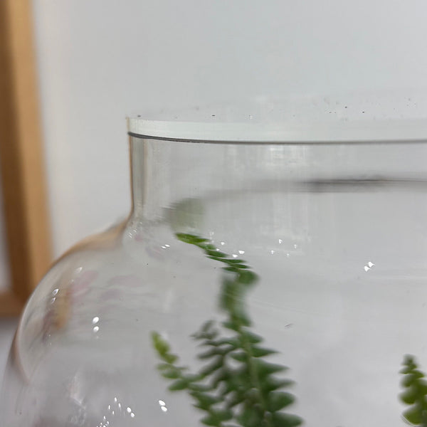 Large Globe Terrarium with Lush Forrest #1510