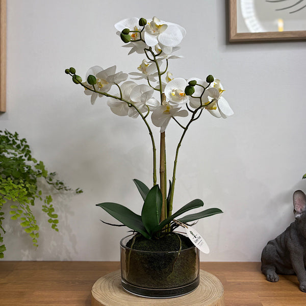 Artificial Phalaenopsis White Orchid in Pot