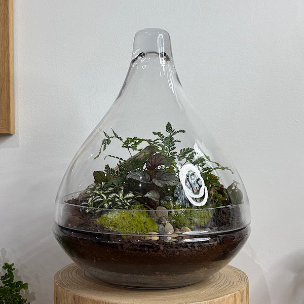 Large Luka Teardrop Dome Lush Terrarium #2509