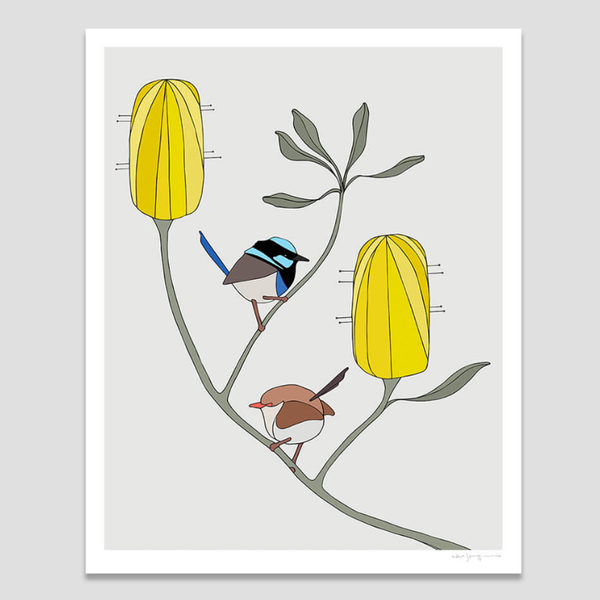 Superb Fairy-Wrens and Banksia Medium Art Print by Eggpicnic