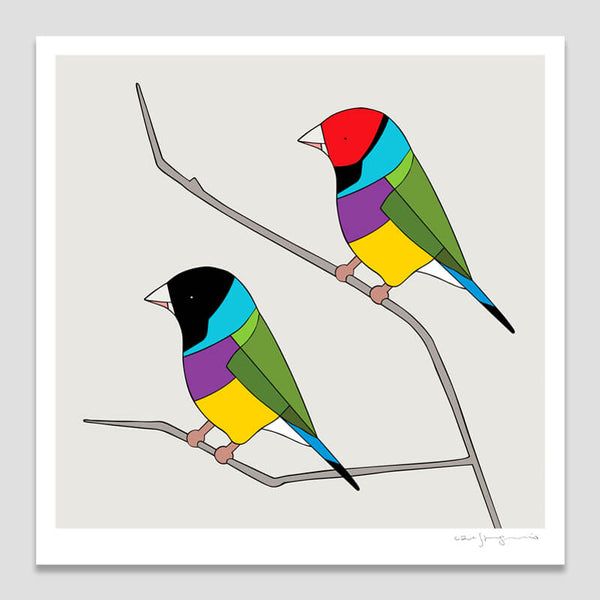 Gouldian Finches Framed Art Print by Eggpicnic