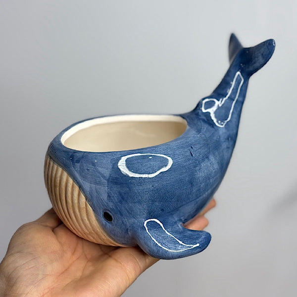 Reef Whale Planter Blue 13cm