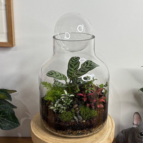 Lush Large Bell Terrarium with Glass Orb #0406