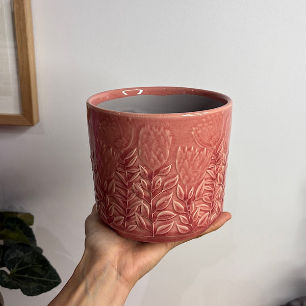 Protea Planter Pot Pink 14cm
