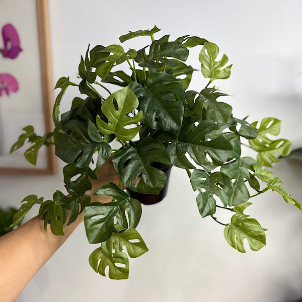 Artificial Monstera Hanging Pot Plant