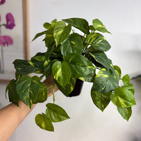 Artificial Pothos Hanging Pot Plant