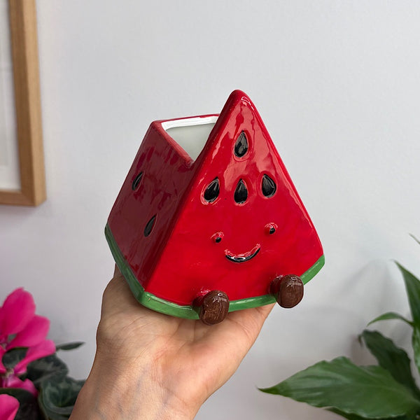 Winnie Watermelon Friends Pot