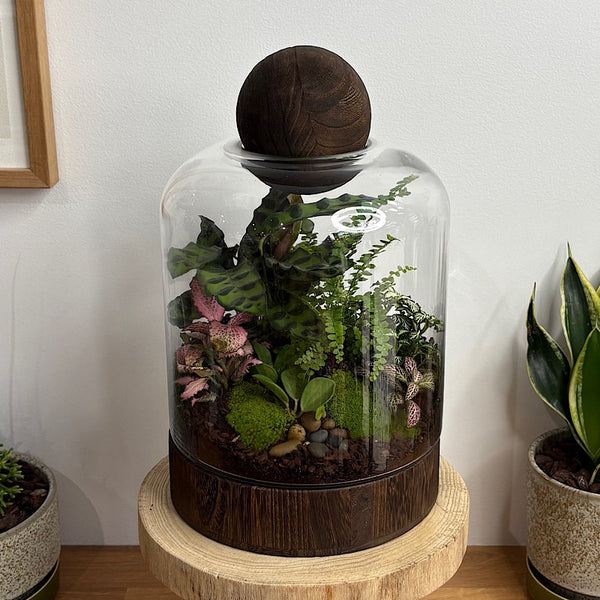 Large Helga Terrarium with Lush Forrest with Timber Base and Ball #0813