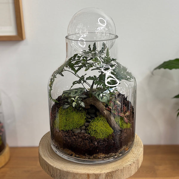 Lush Large Bell Terrarium with Glass Orb #2608