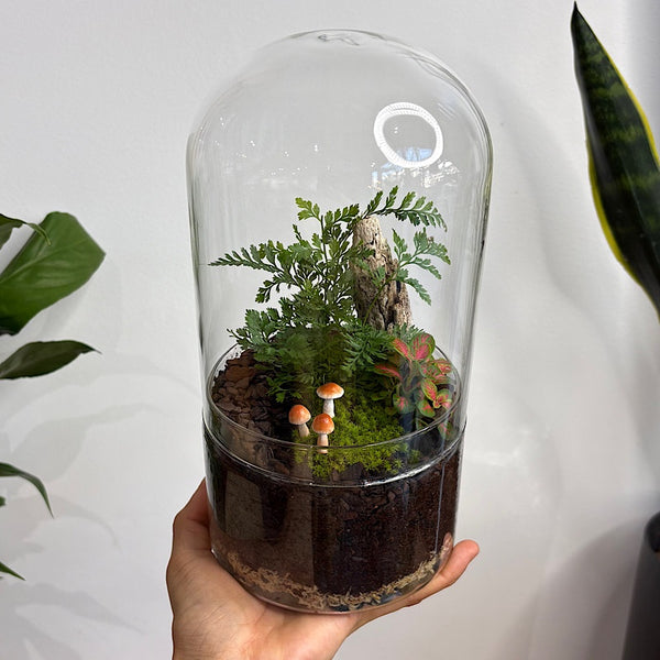 Capsule Dome Forrest Terrarium with Mushrooms