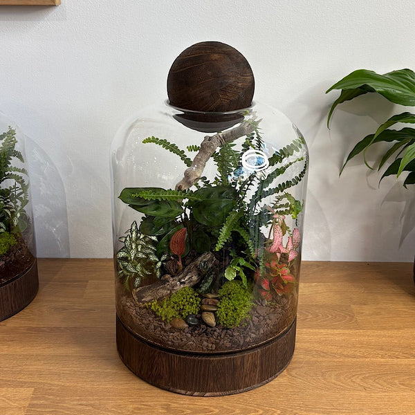 X-Large Helga Terrarium with Lush Forrest with Timber Base and Ball #0209