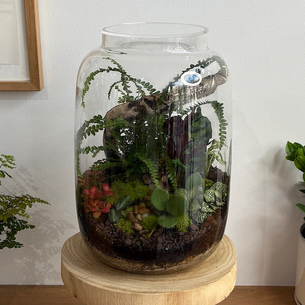 X-Large Globe Terrarium with Lush Forest #0409