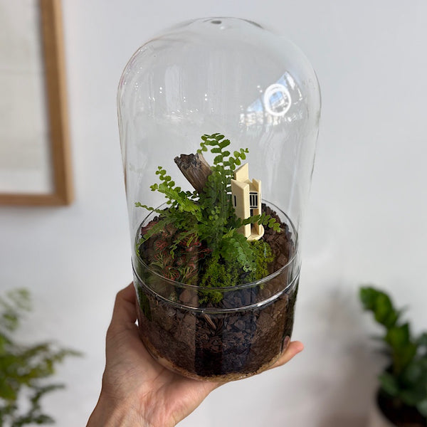 Capsule Dome Forrest Terrarium with Carillon