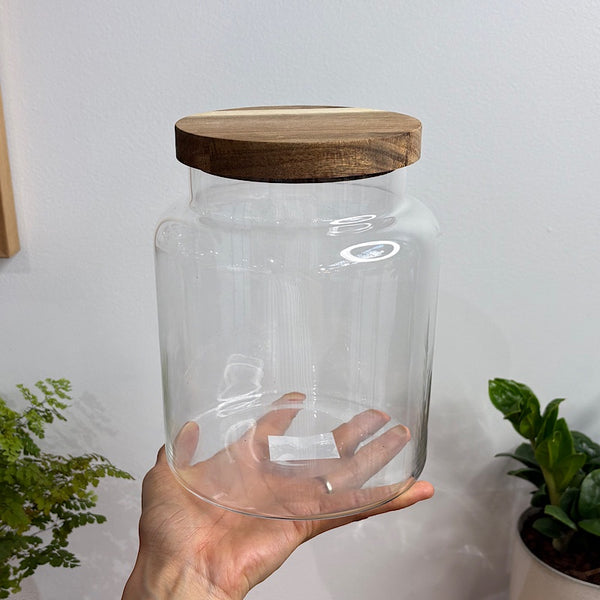 Leo Glass Terrarium Jar with Timber Lid