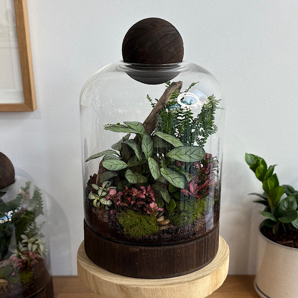 X-Large Helga Terrarium with Lush Forrest with Timber Base and Ball #0709
