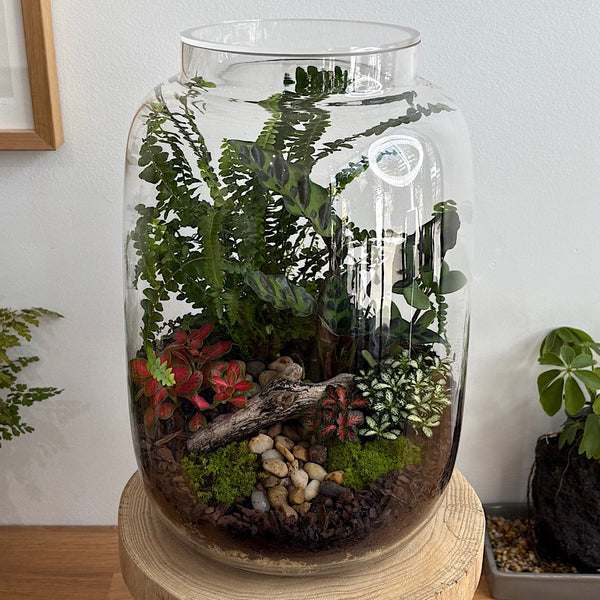 Large Globe Terrarium with Lush Forrest #2509