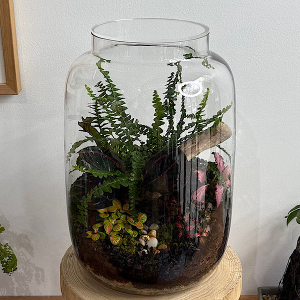Large Globe Terrarium with Lush Forrest #1510