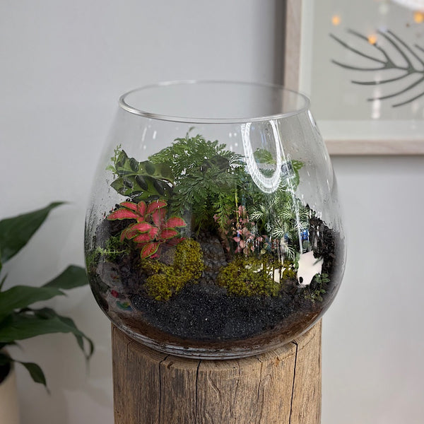 Lush Low Teardrop Terrarium #0912