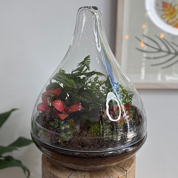 Large Luka Teardrop Dome Terrarium #0312