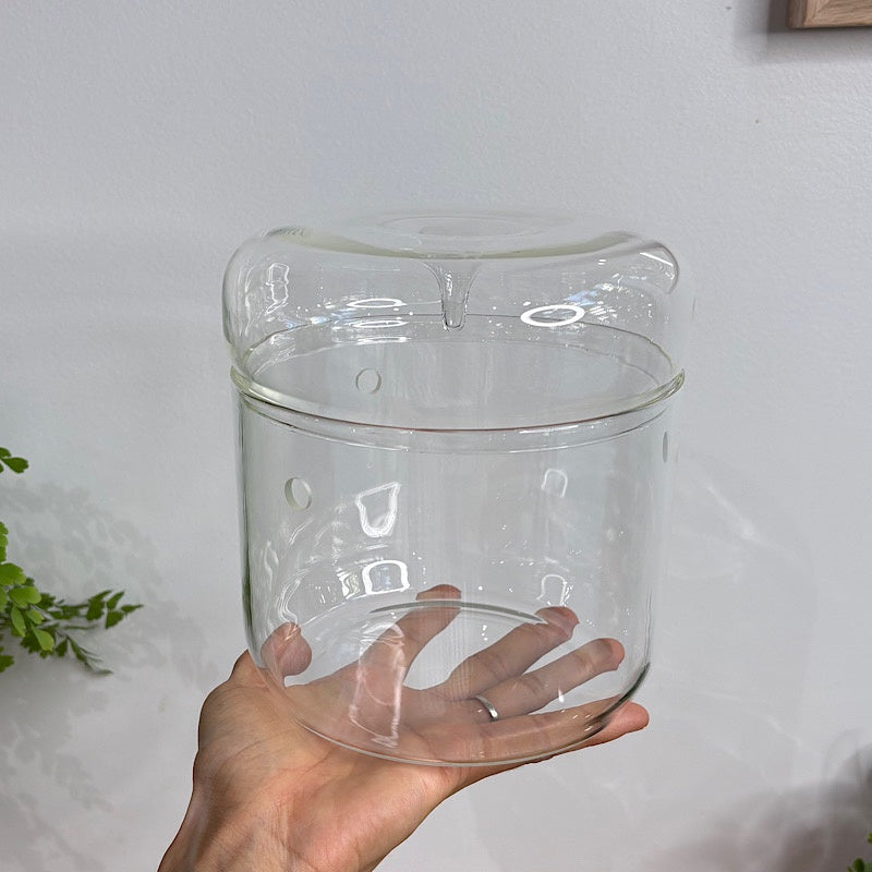 Astrid Dome Glass Atrium Terrarium with Droplet Lid 15cm – The Green ...