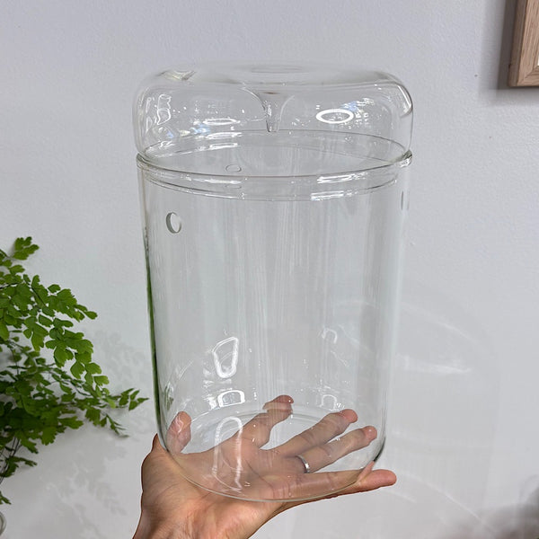 Astrid Dome Glass Atrium Terrarium with Droplet Lid 23cm
