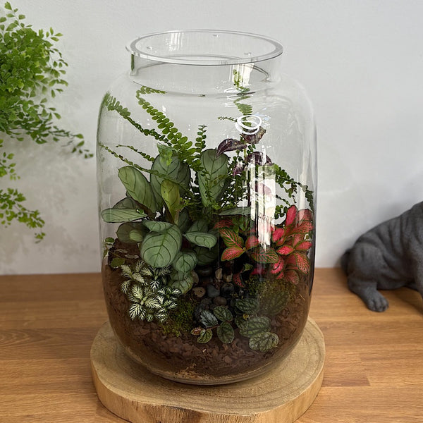 X-Large Globe Terrarium #1912