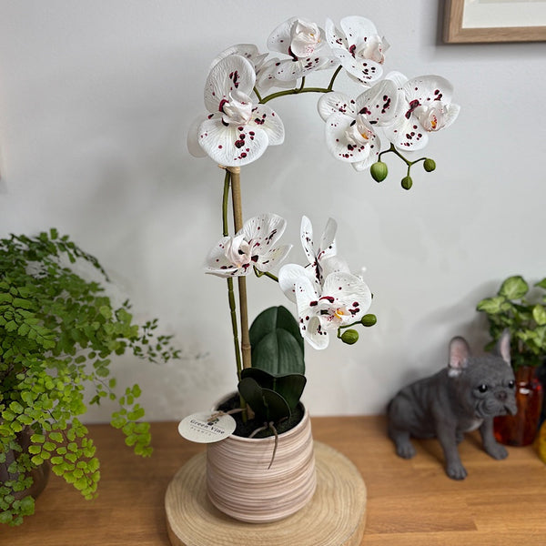 Artificial Phalaenopsis White Speckle Orchid in Pot