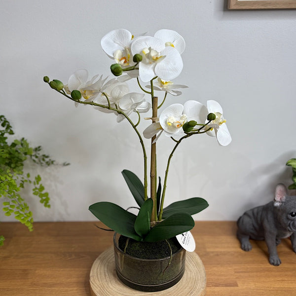 Artificial Phalaenopsis White Orchid in Pot