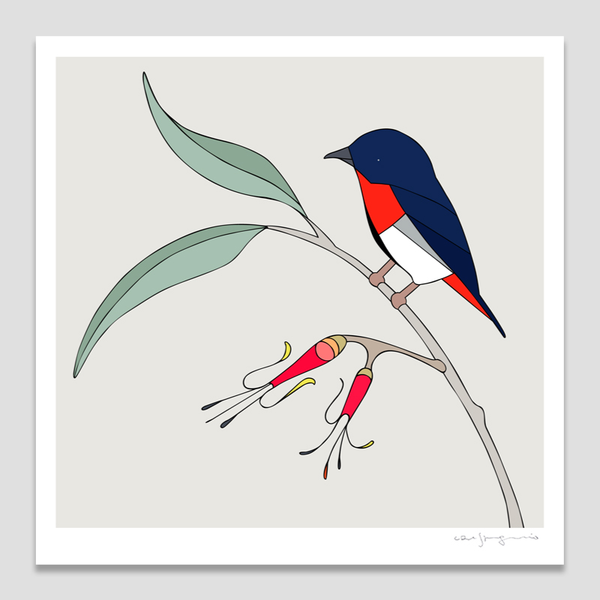 Mistletoe and Mistletoebird Art Print by Eggpicnic